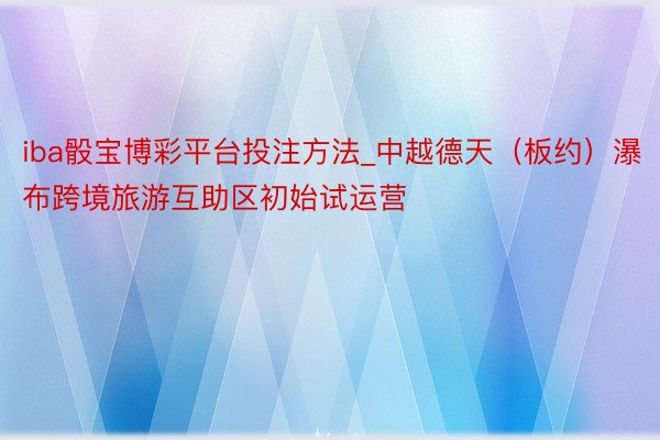 iba骰宝博彩平台投注方法_中越德天（板约）瀑布跨境旅游互助区初始试运营