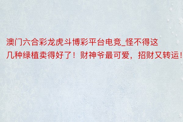 澳门六合彩龙虎斗博彩平台电竞_怪不得这几种绿植卖得好了！财神爷最可爱，招财又转运！